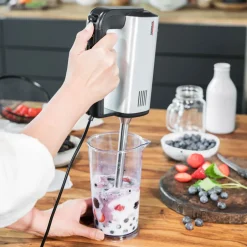 GASTROBACK Design Handmixer Pro Online