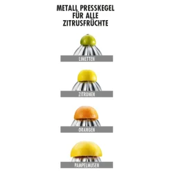 GASTROBACK Fruchtkegel für 41150 Outlet