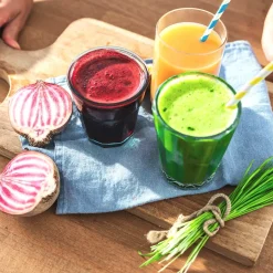 GASTROBACK Slow Juicer Advanced Vital Sale